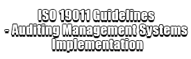 ISO 19011 Guidelines - Auditing Management Systems Implementation Logo